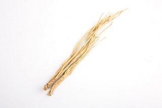 端午节游桂林（桂林端午龙舟）