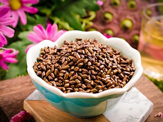 在暑假里的收获作文_在暑假收获了什么