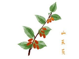韦应物《秋夜寄邱二十二员外》翻译赏析_秋夜寄丘二十二员外解读