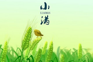 圆明园的毁灭教学设计_圆明园的毁灭教学设计点评