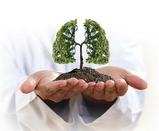 24节气夏至节气的谚语(二十四节气夏至谚语)