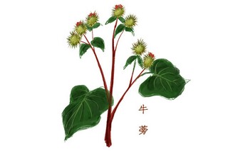 台阶李森祥课件（台阶李森祥教学设计）