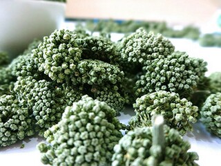 元宵佳节诗文(元宵佳节的诗词)