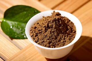 春游活动方案_春游活动方案设计