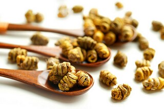 优美文艺句子摘录36条（优美文艺短句）