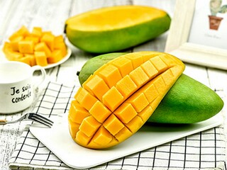 感恩老师优秀作文_感恩老师作文满分作文