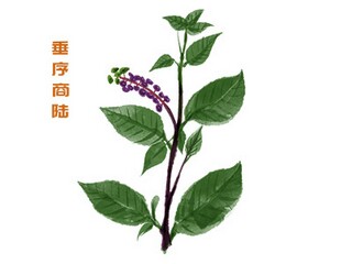 小学毛笔书法课教案