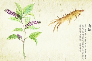 除夕发圈文案(除夕发圈文案怎么写)