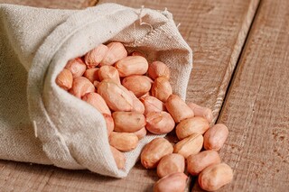 金银花作文400字（关于金银花的作文三百字）