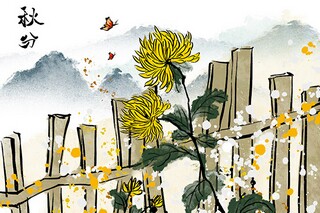 119消防宣传日文案（119消防宣传日宣传语）