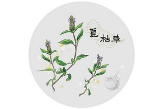 母爱的句子摘抄_母爱的句子摘抄简短