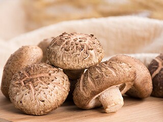 励志类名言警句_励志类名言警句,短文大全