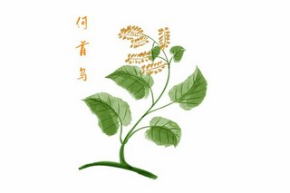 中秋节佳句摘抄（中秋节佳句摘抄仿写）