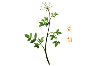 情感散文_好久不见_美文好久不见