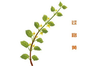 春天的古诗词欣赏（春天古诗词大全）