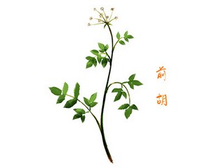 员工考勤制度_员工考勤制度免费下载