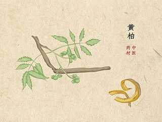 银行理财经理转正工作总结_银行柜员转正工作总结