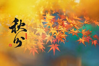 因个人原因的辞职报告(因拖欠工资原因辞职报告)