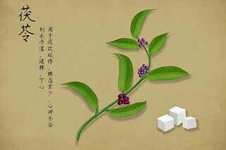 社区工作者劳动合同书(社区工作者劳动合同属于正式工吗)