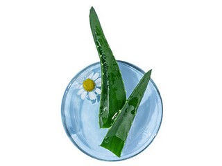 上海市房屋租赁合同(上海市房屋租赁合同网签备案)