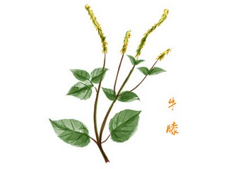 汽车买卖合同_汽车买卖合同