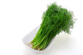 大队辅导员讲话稿(大队辅导员大队委竞选活动讲话稿)