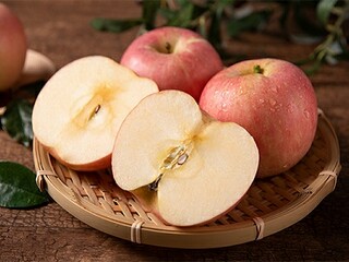 抵押担保借款合同_公司抵押担保借款合同