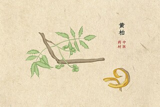 房屋租赁合同_房屋租赁合同模板