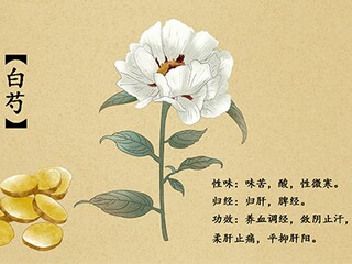 小学生期末通知书班主任评语(小学生期末班主任评语通用)