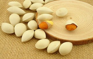 合伙协议书(合伙协议书三人模板免费)