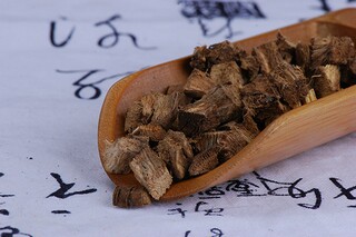 感恩的倡议书(表达感恩的倡议书80字)