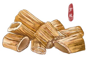 律师合同_律师合同代写咨询