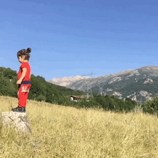 服务行业工作总结报告_服务业发展工作自查报告