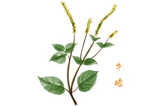 谜语及答案大全8-10岁脑筋急转弯_谜语及答案