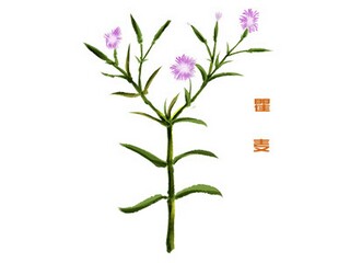 公司股权整体转让协议书最新范本_公司整体转让协议书