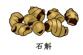 公司处罚通知_公司处罚通知红头文件