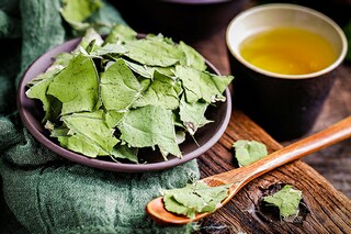 录取通知书(录取通知书)