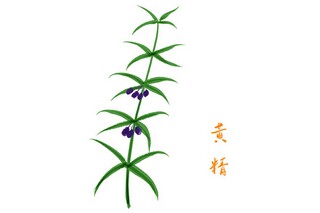 媒体运营年度工作总结_媒体教室年度个人总结
