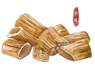 游故宫作文450字优秀_游故宫作文