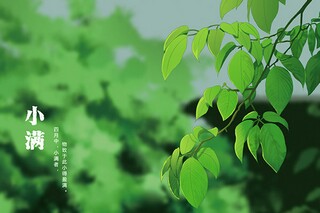 实习证明怎么开_实习证明