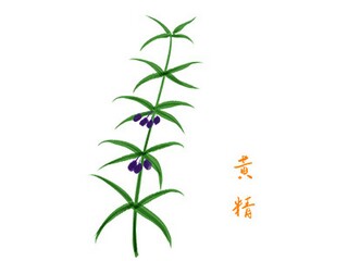 助学金申请书范文2000字图片_助学金申请书