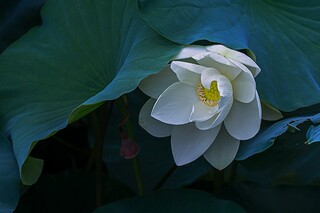 建材购销合同图片_最新建材购销合同
