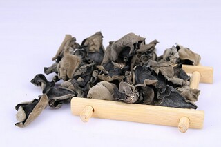 抵押贷款合同范本