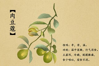 小学音乐教师述职报告