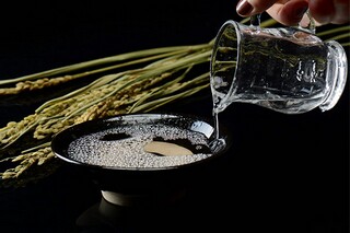 高考面试自我介绍1分钟通用_高考面试自我介绍