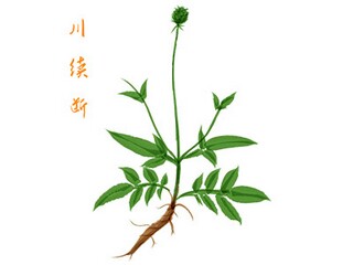 幼儿园实习报告(幼儿园实习报告学生自评)