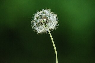 劳动节放假通知2024年图片_劳动节放假通知