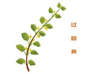 雨雪天气景区应急预案_旅游景区防范低温雨雪冰冻灾害应急预案