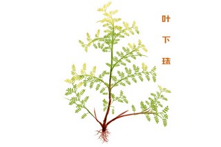 公司劳务分包合同_公司劳务合同范本